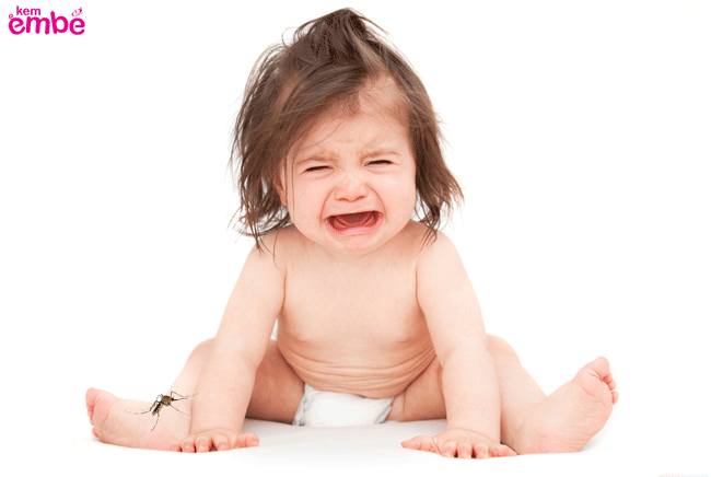 bé bị côn trùng đốt