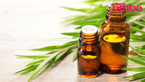 Bé bị muỗi đốt bôi dầu tràm mang đến hiệu quả bất ngờ