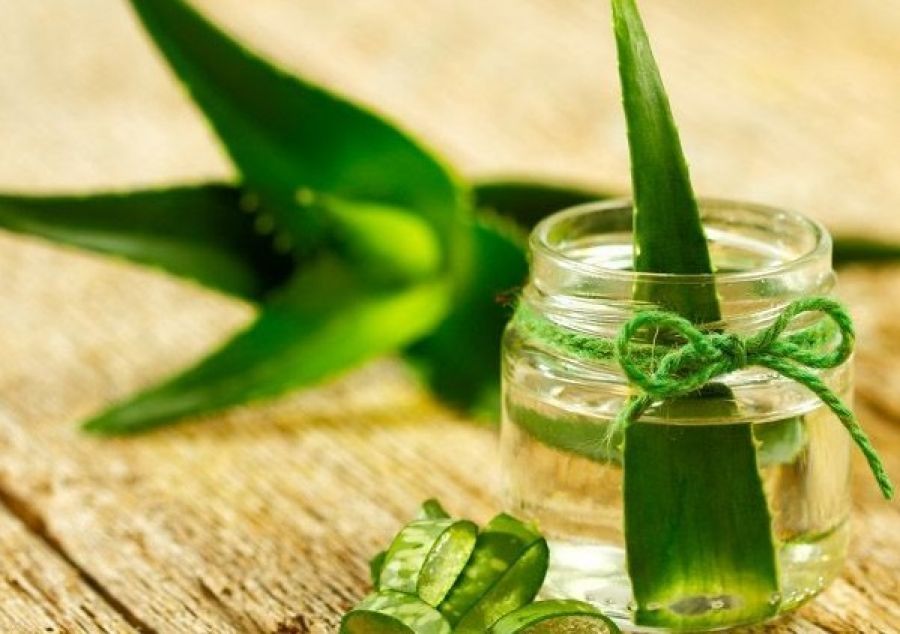 nha đam trị rôm sảy