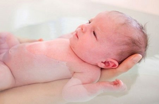 trị rôm sảy bằng lá kinh giới