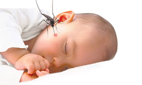 bé bị dị ứng côn trùng đốt