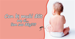 côn trùng đốt sưng tấy