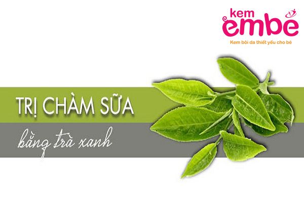 Trị chàm sữa bằng lá trà xanh