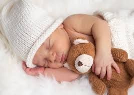 kem trị côn trùng đốt